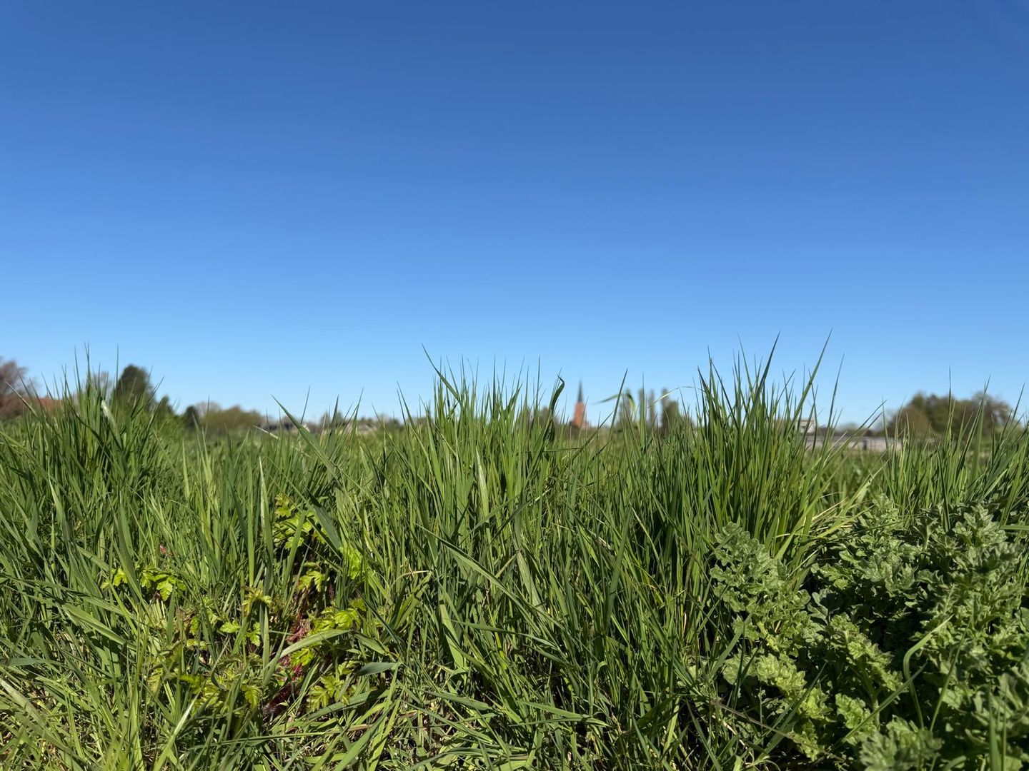 Foto 10 van Boslaan - kavel 3