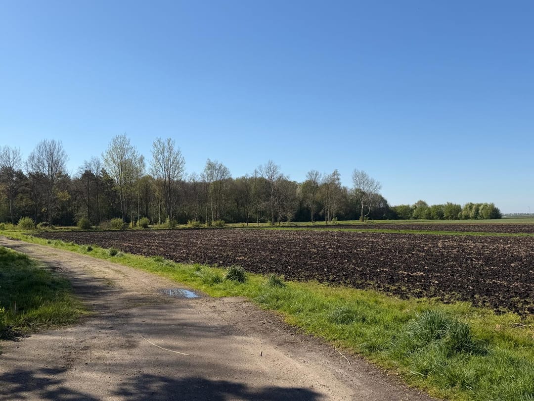 Foto 1 van Boslaan - kavel 3