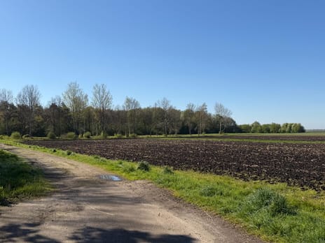 Boslaan - kavel 3 thumbnail