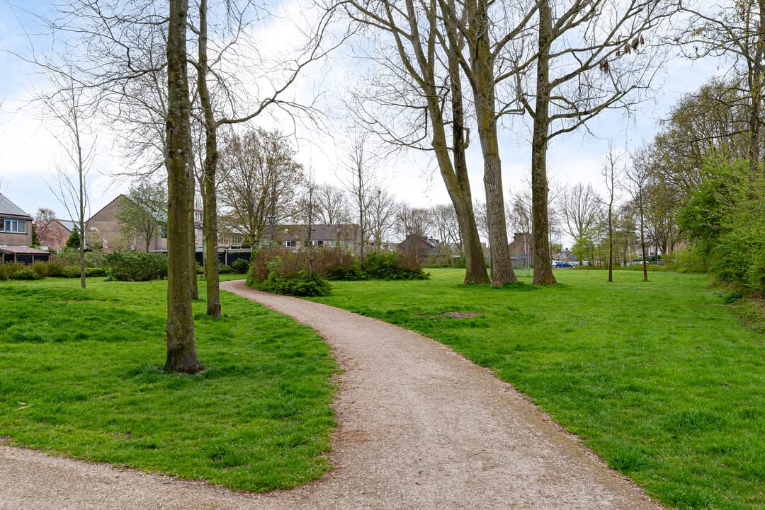 Photo 38 of Langeweide 329