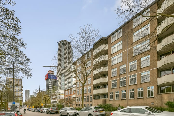 Vasteland 411