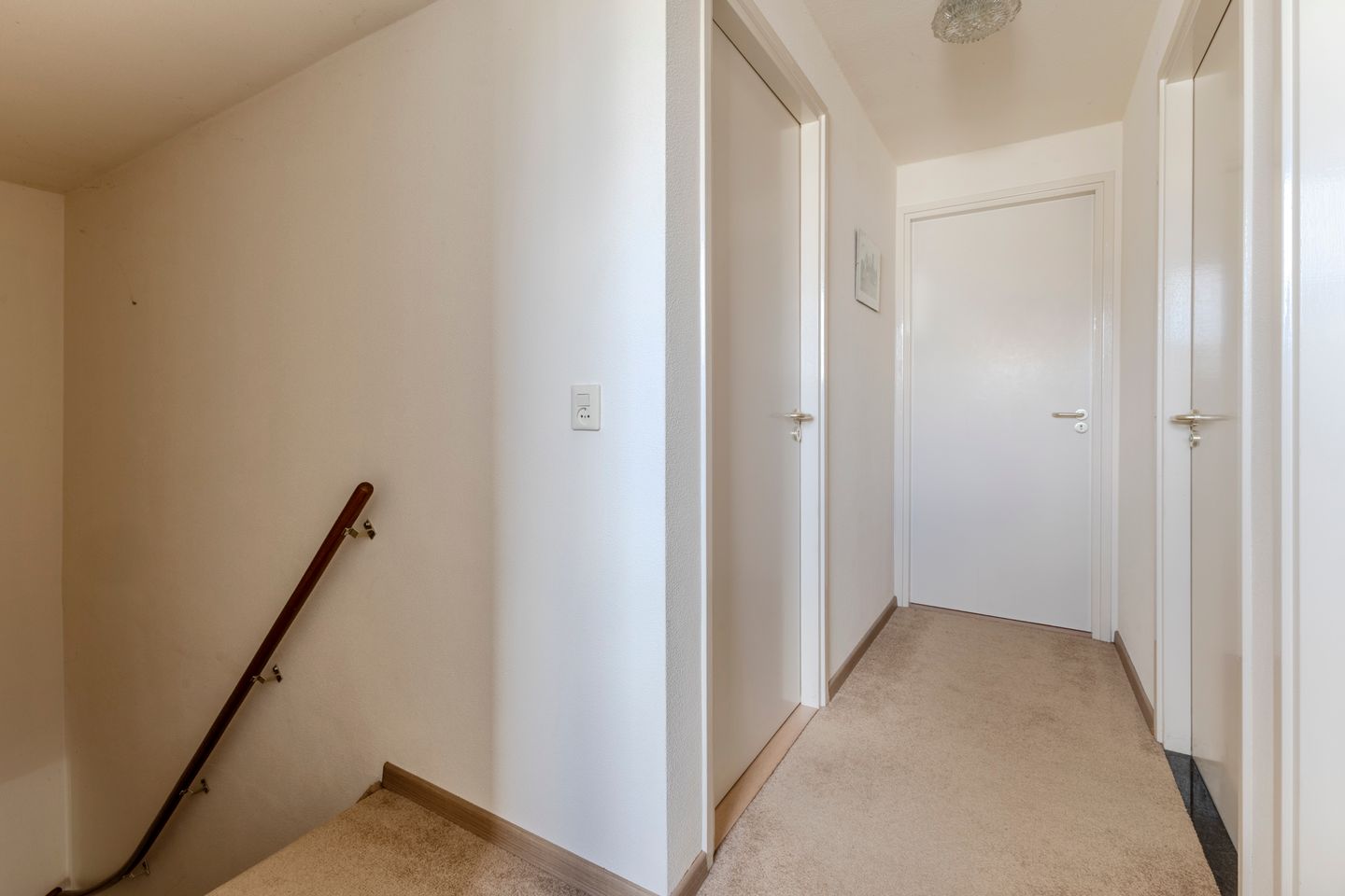 Foto 19 van Hortensia 10