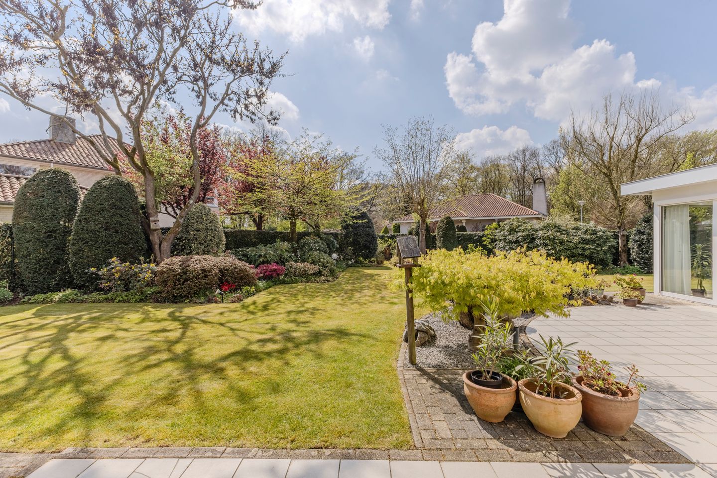 Foto 29 van Hortensia 10