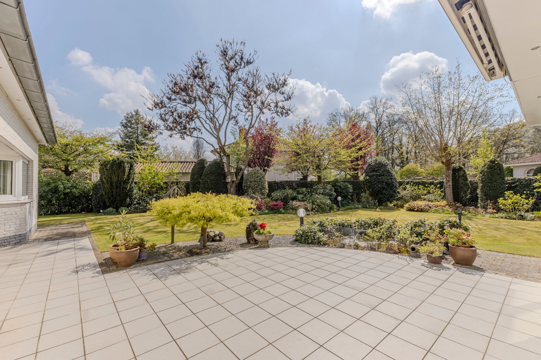 Foto 30 van Hortensia 10