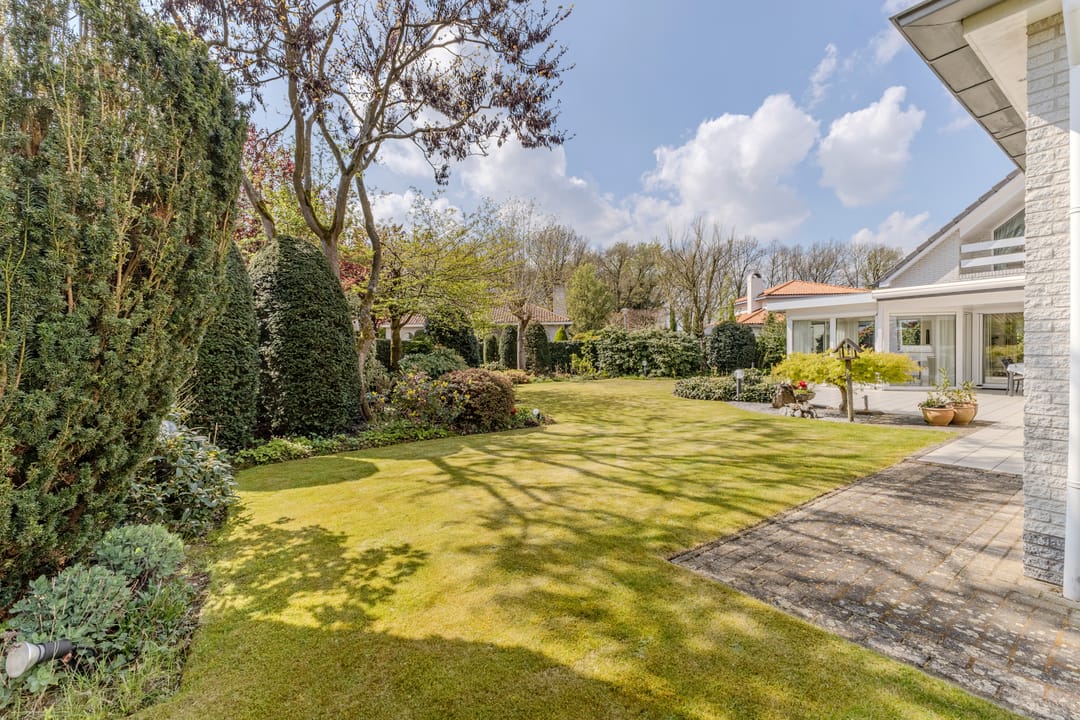 Foto 31 van Hortensia 10