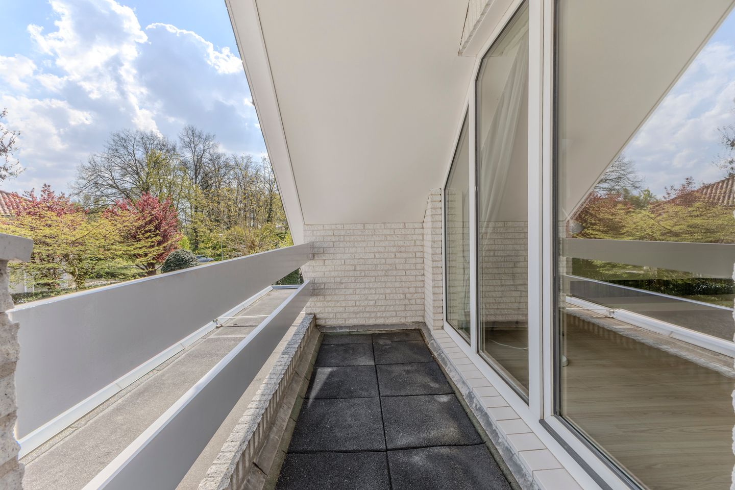 Foto 25 van Hortensia 10