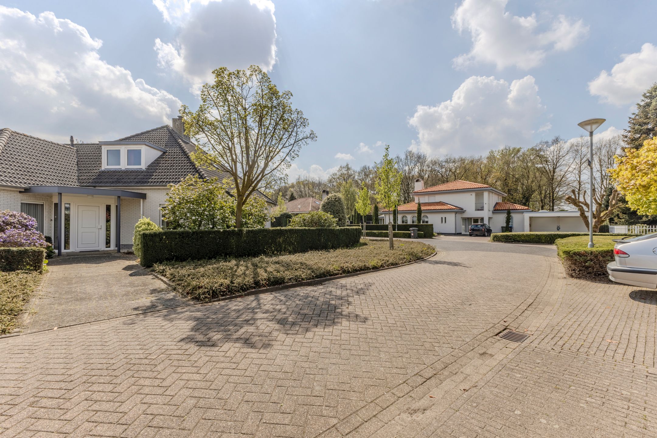 Foto 36 van Hortensia 10