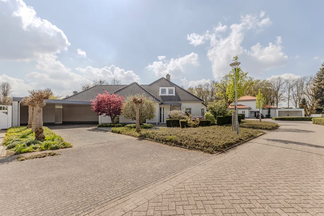 Foto 1 van Hortensia 10