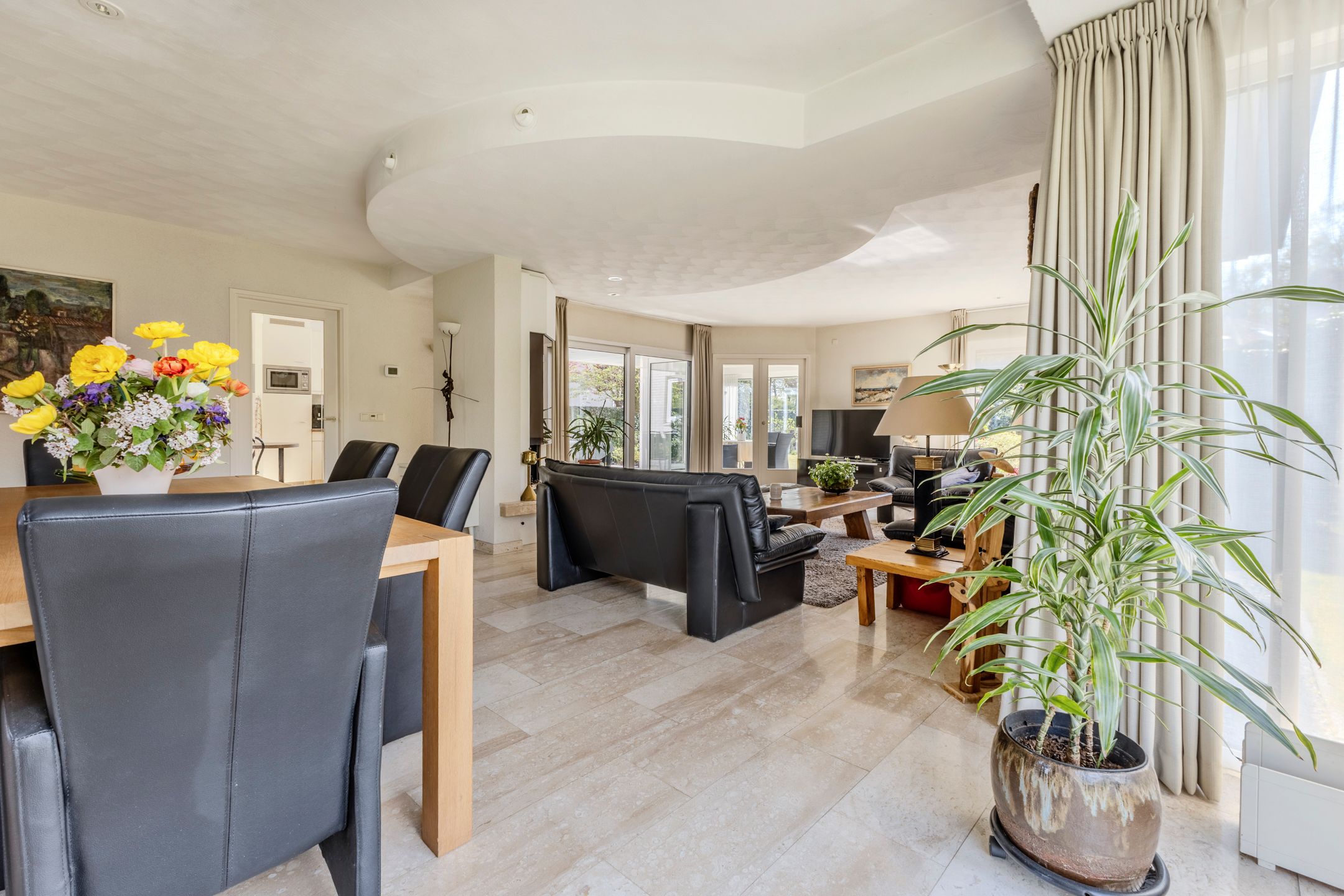 Foto 9 van Hortensia 10