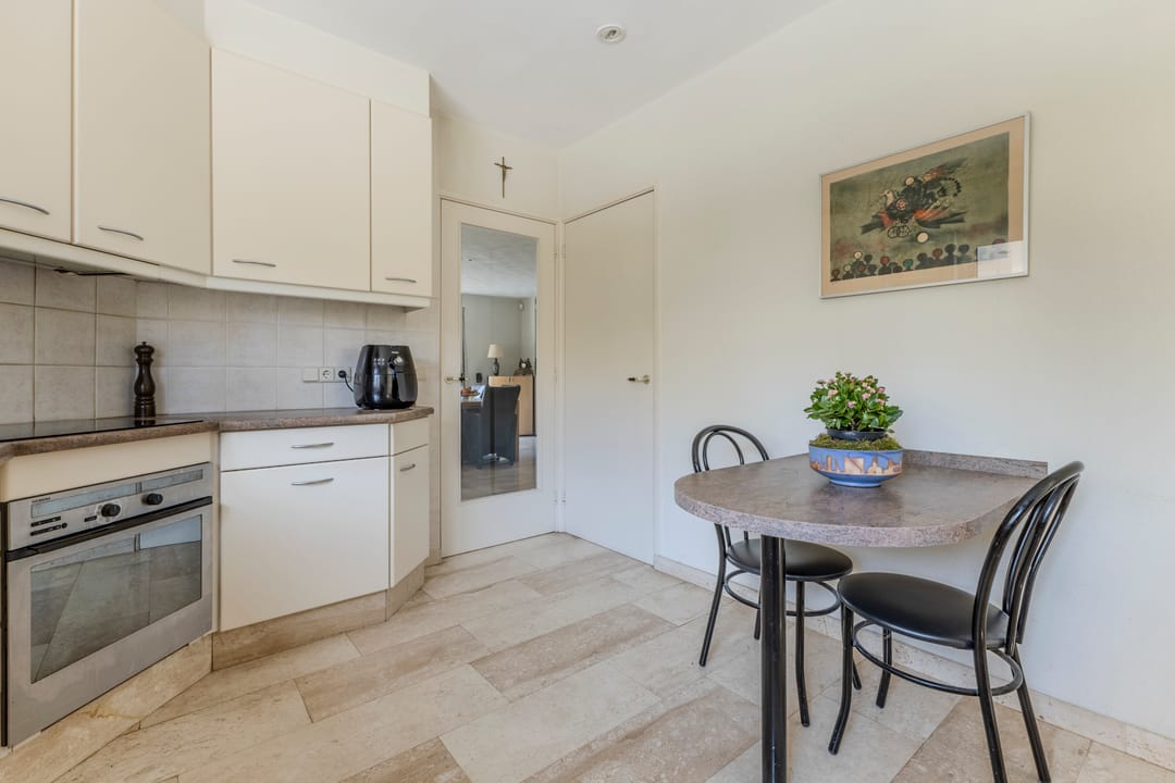 Foto 11 van Hortensia 10