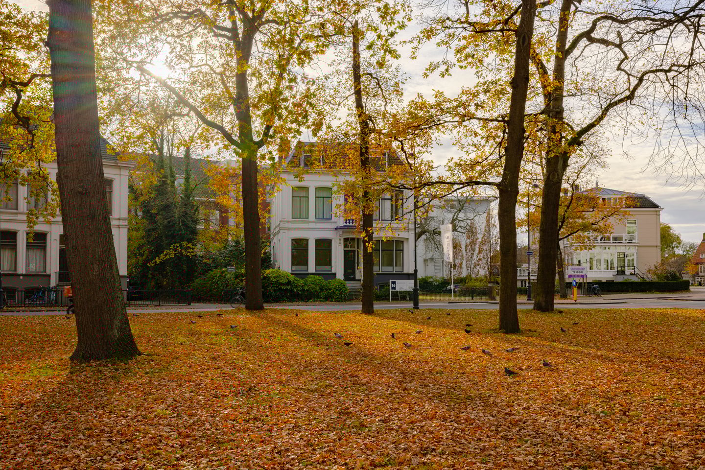 View photo 5 of Kenaupark 16