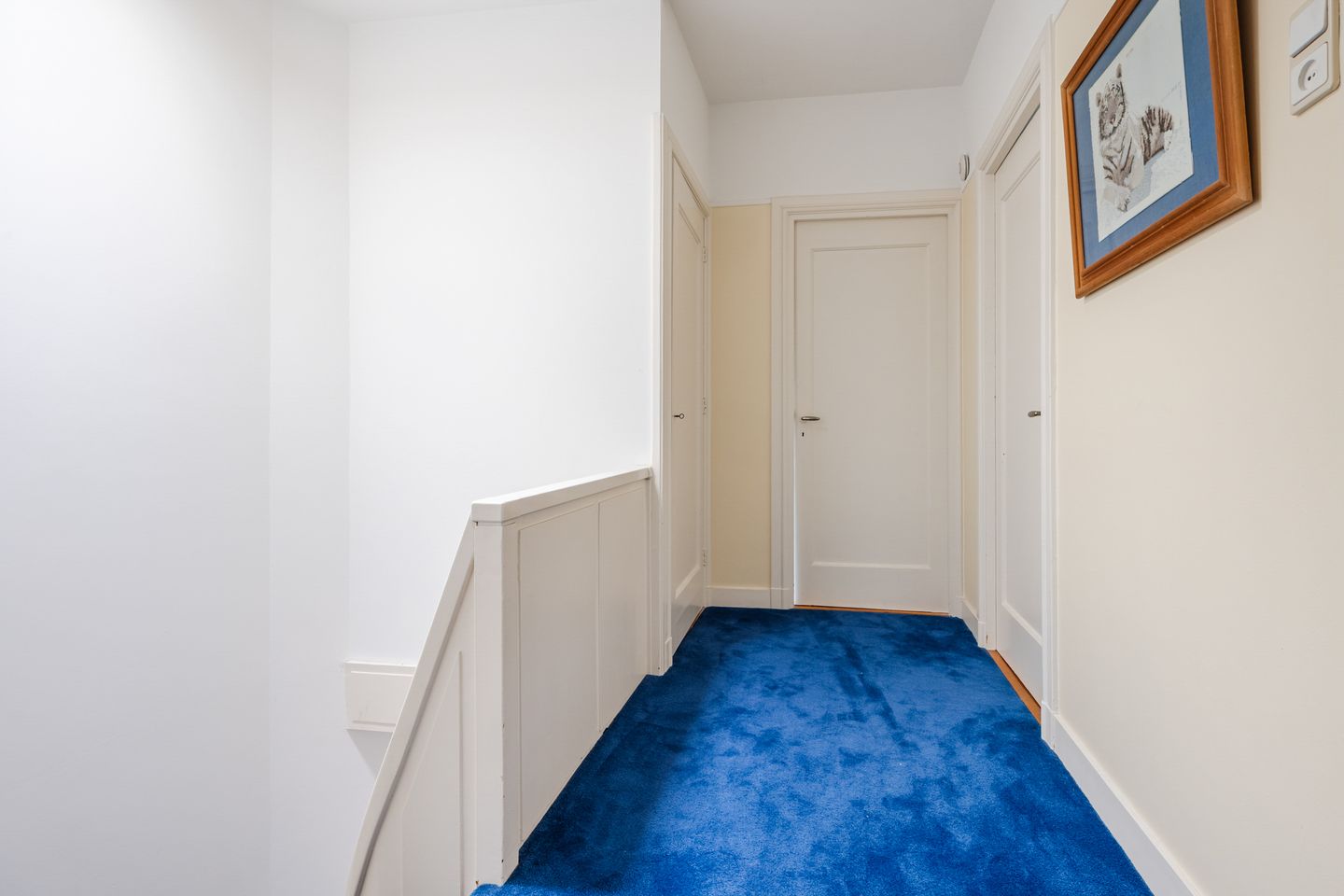 Foto 44 van Van Zaeckstraat 51