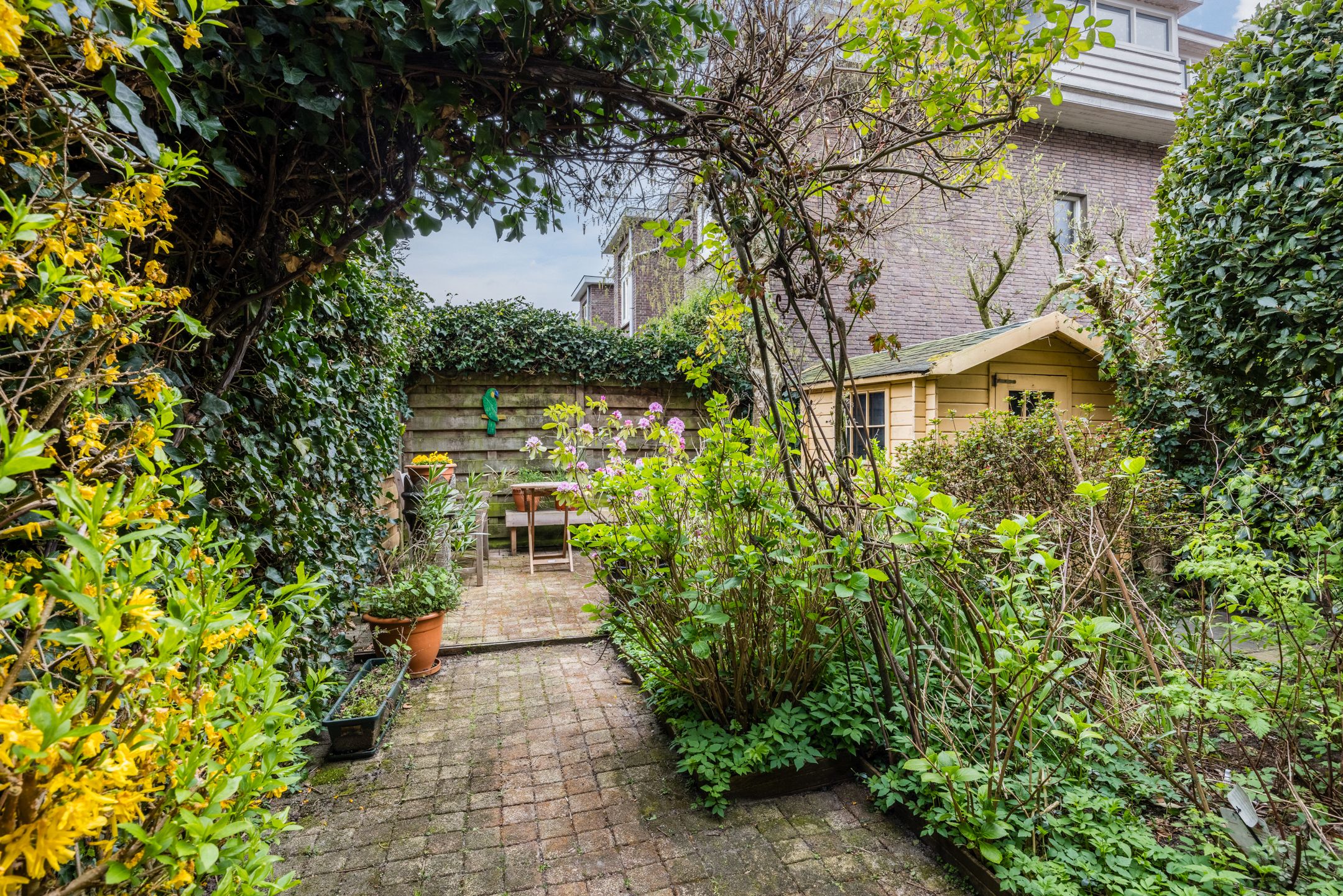 Foto 21 van Van Zaeckstraat 51