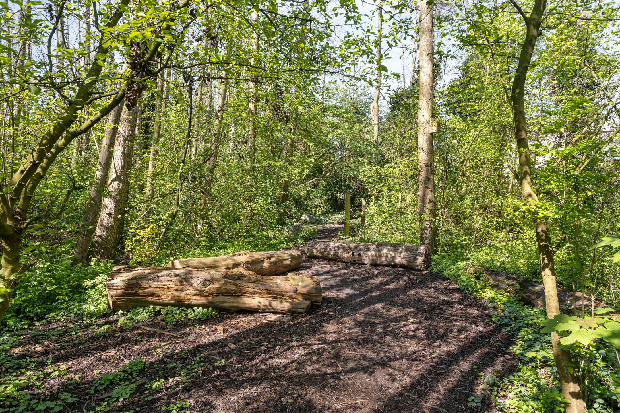 Foto 42 van Frans Halsstraat 72