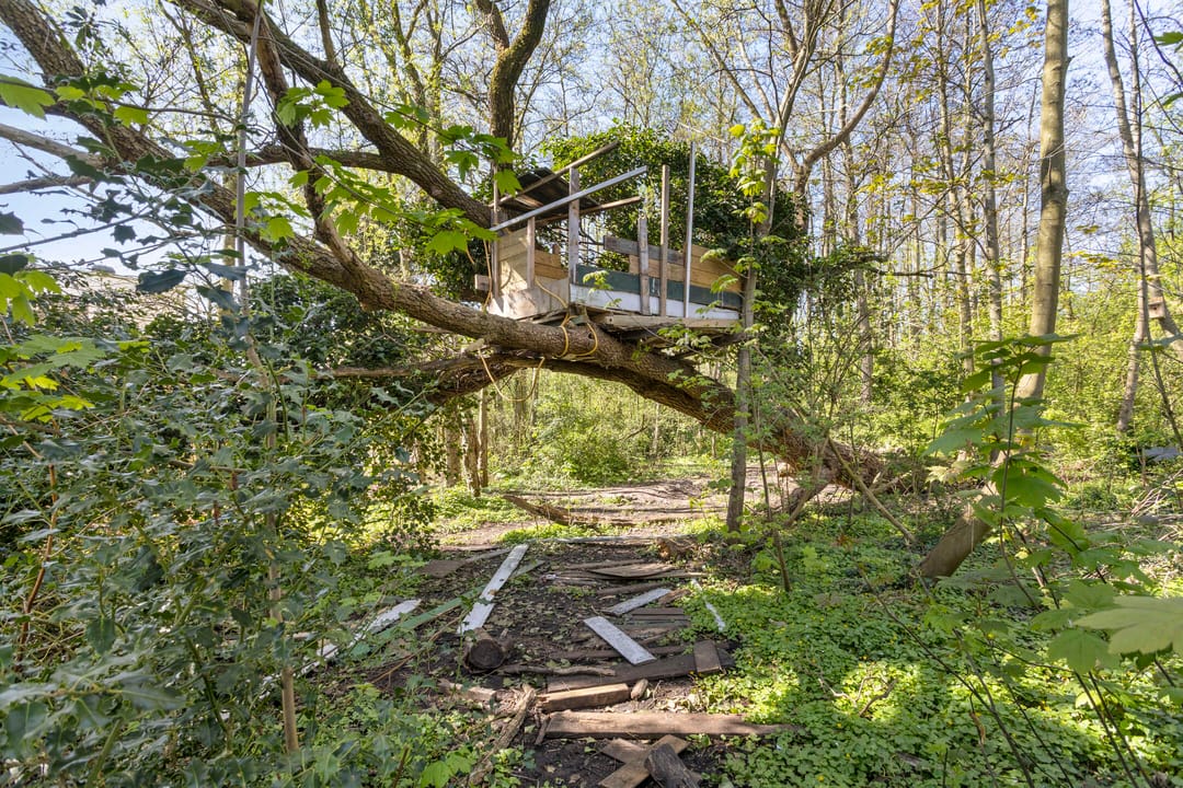 Foto 41 van Frans Halsstraat 72