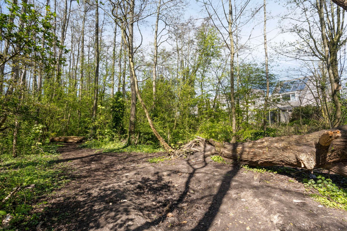 Foto 40 van Frans Halsstraat 72