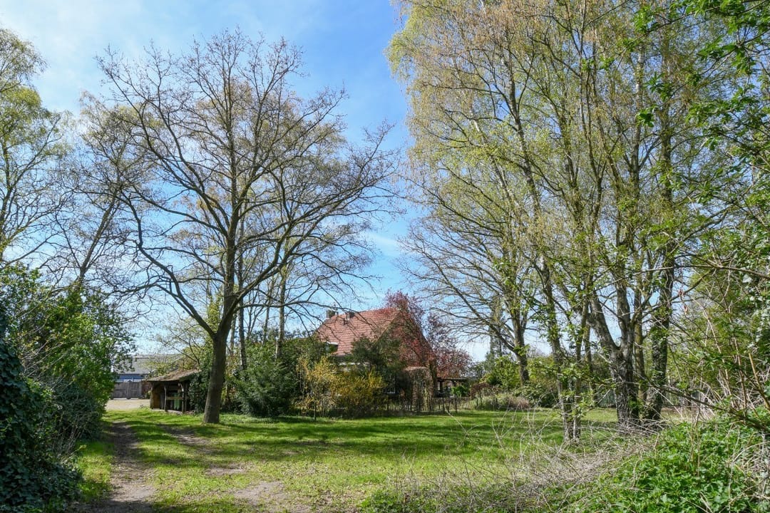 Foto 41 van Heimarkt 2