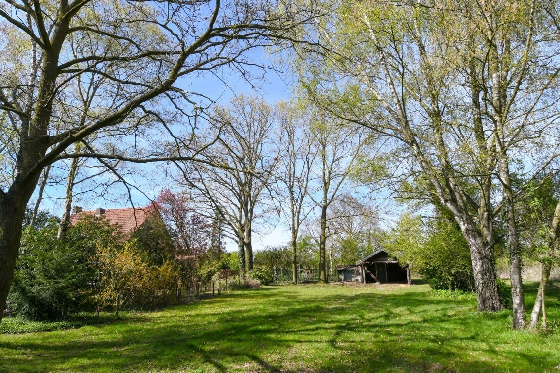 Foto 42 van Heimarkt 2