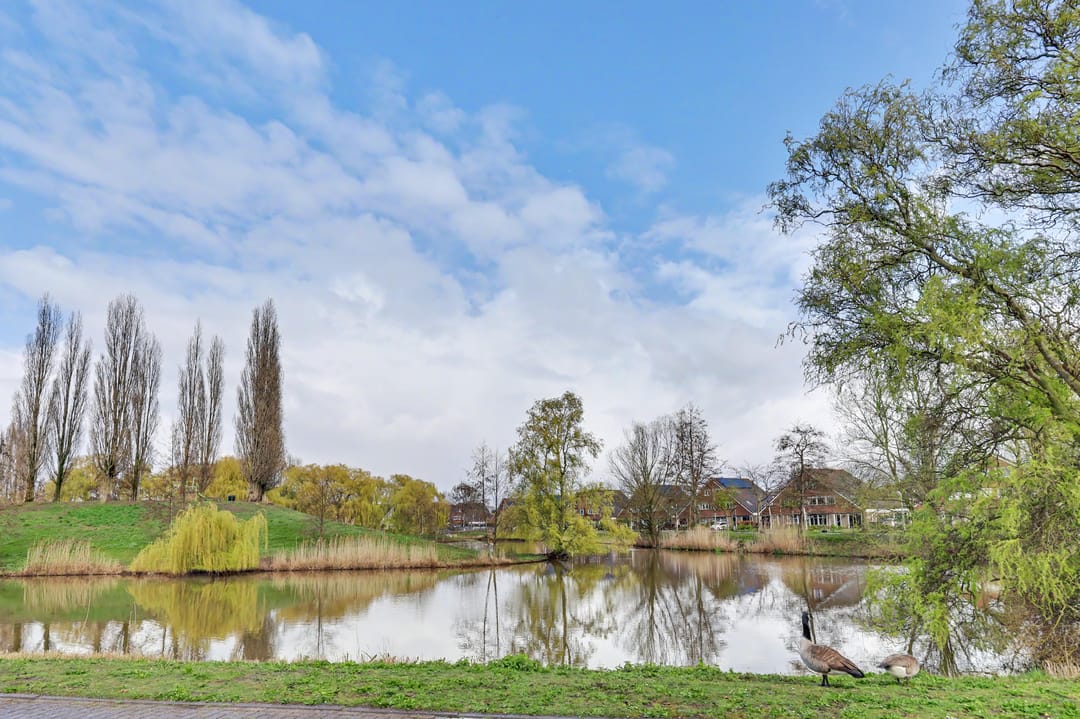 Foto 47 van Megenstraat 157