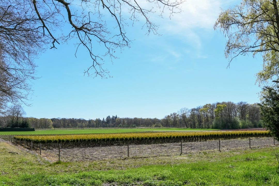 Foto 43 van Heimarkt 2