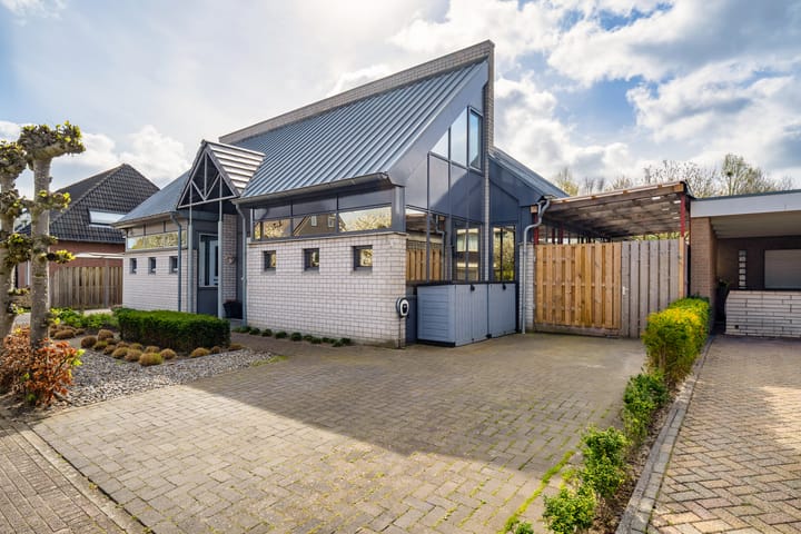 Waterhoen 4-a main image