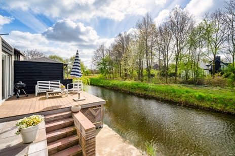 Waterhoen 4-a secondary image