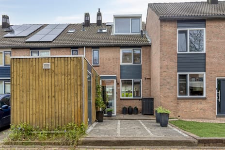 undefined main image