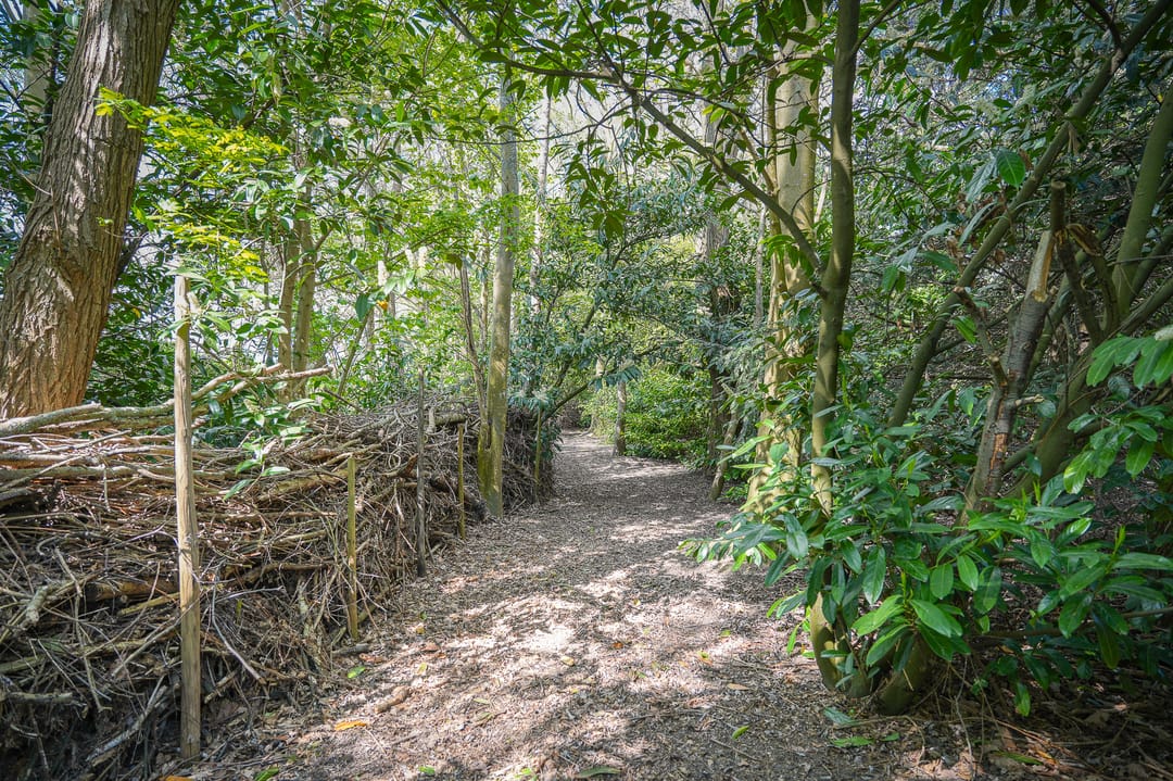 Photo 43 of H.C. de Jonghweg 35