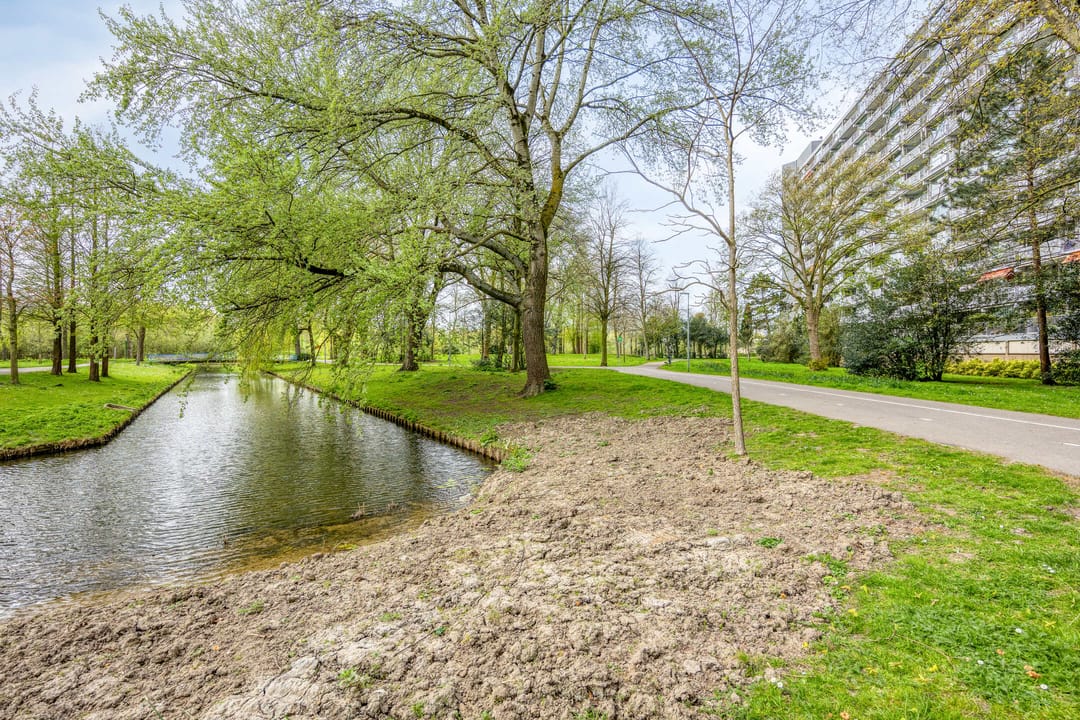 Foto 22 van Sibeliusplein 176