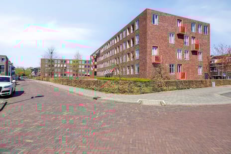 Paulus Potterstraat thumbnail