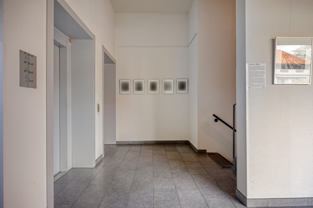 Foto 8 van Paulus Potterstraat 22