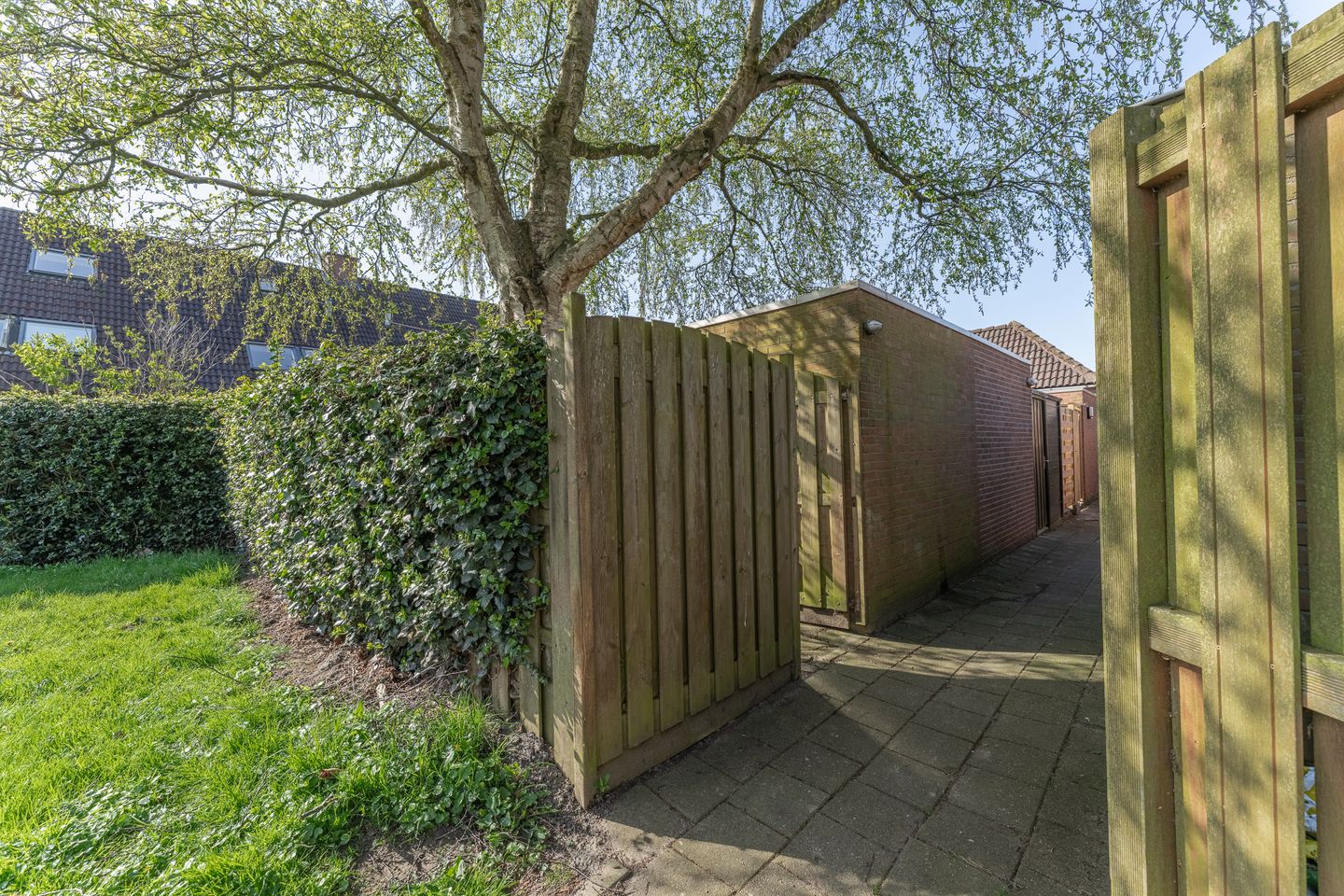 Foto 44 van Rode Paard 4