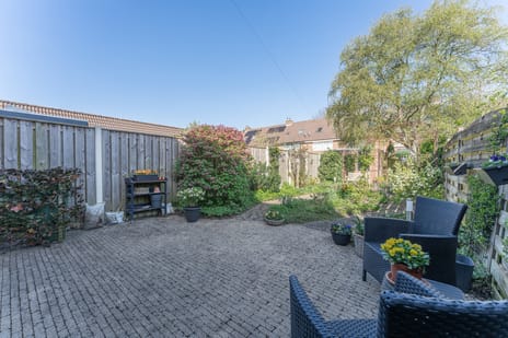 Rode Paard 4 secondary image