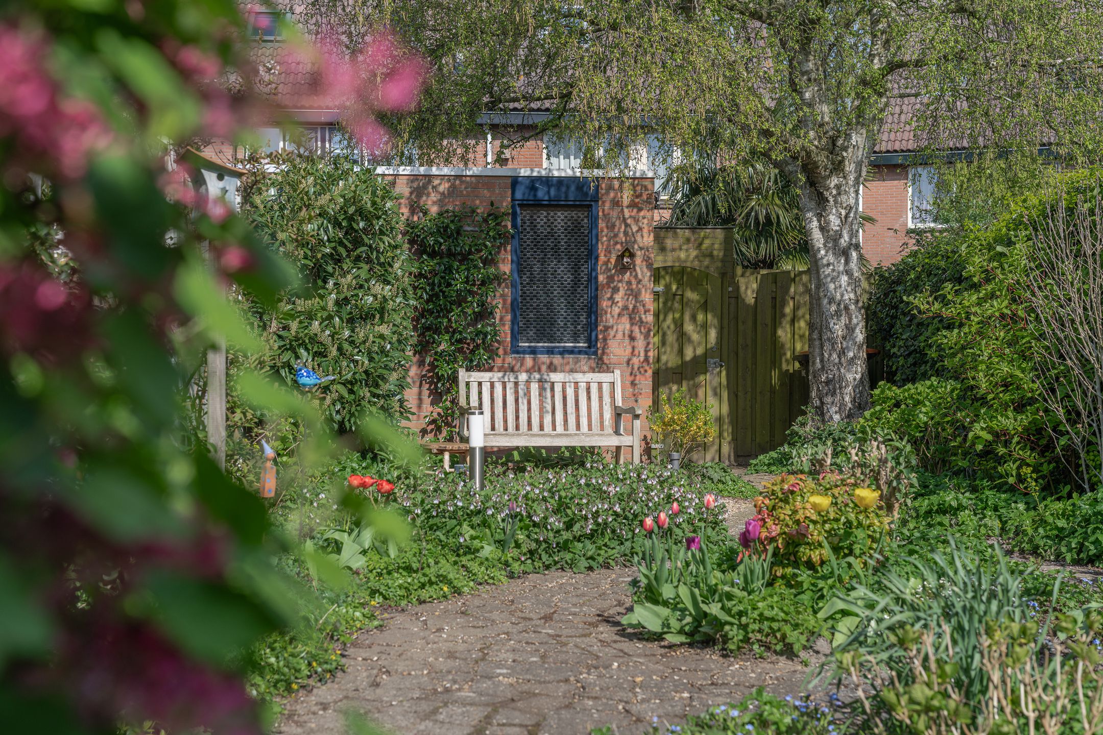 Foto 3 van Rode Paard 4