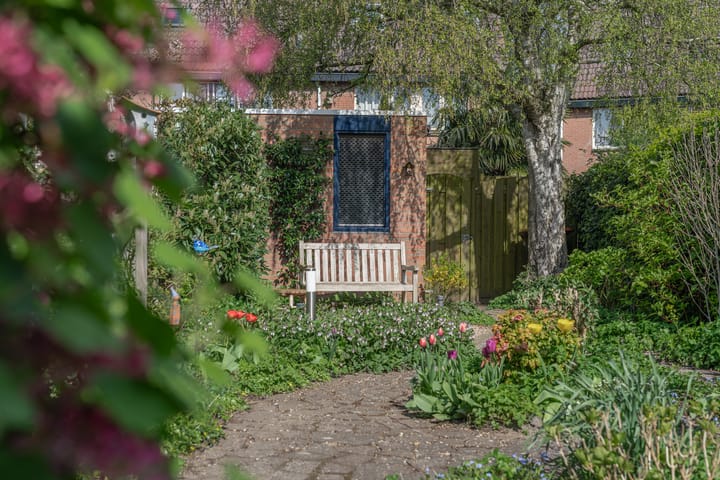 Foto 3 van Rode Paard 4