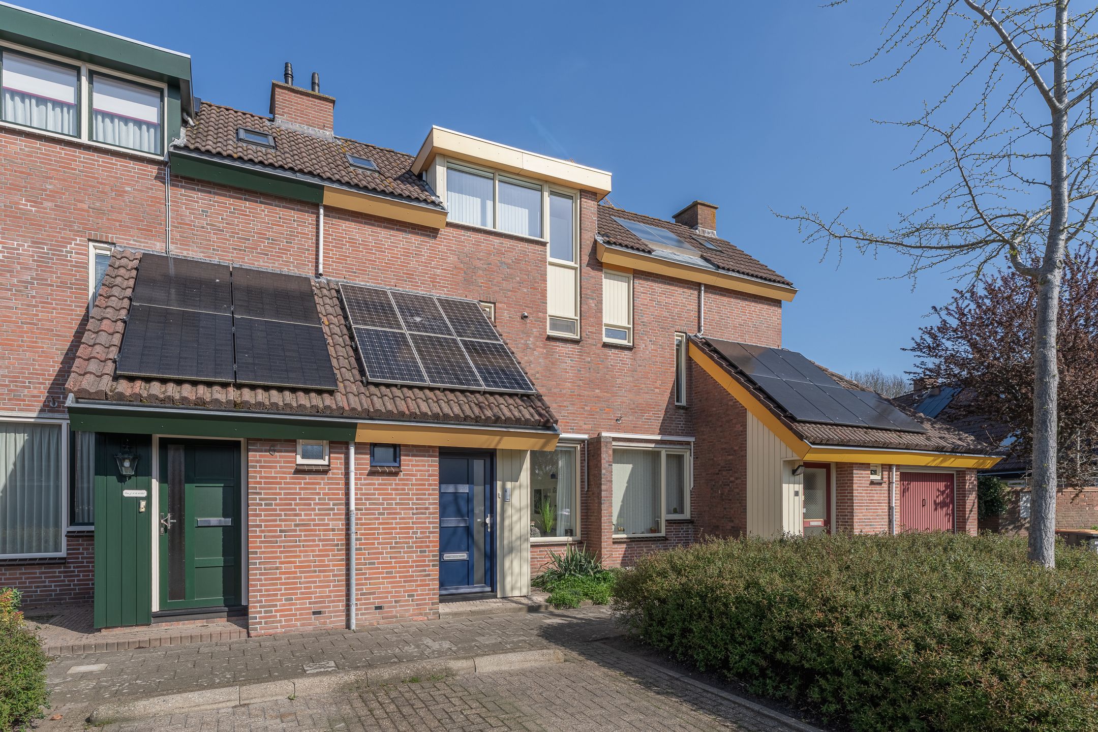 Foto 9 van Rode Paard 4