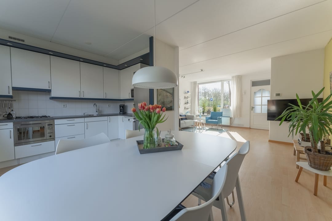 Foto 16 van Rode Paard 4