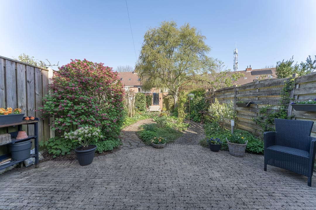 Foto 38 van Rode Paard 4