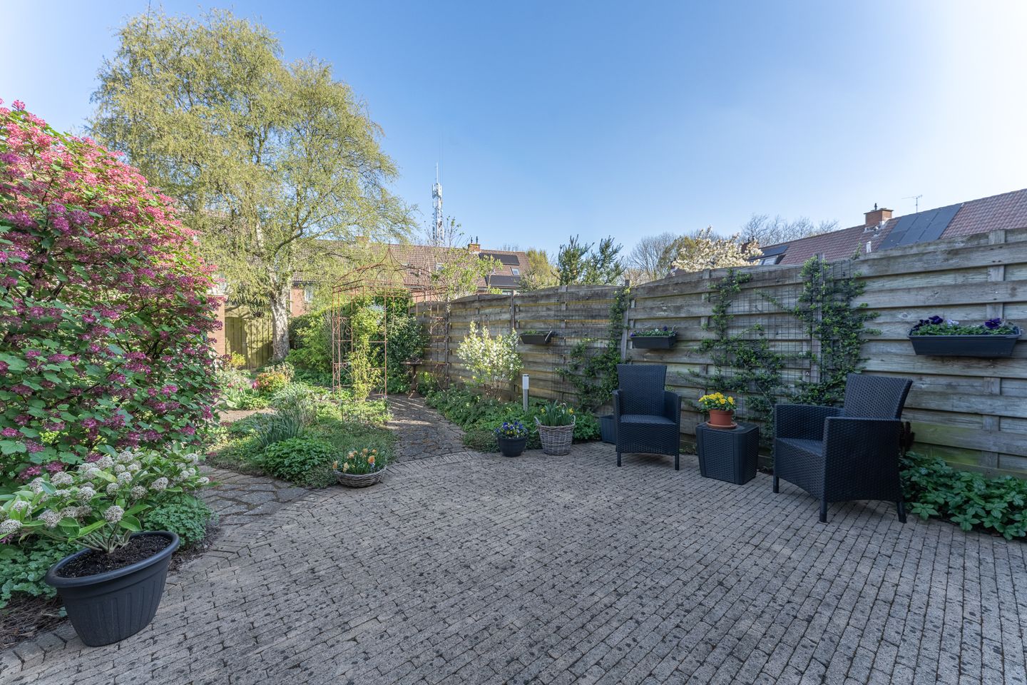 Foto 40 van Rode Paard 4