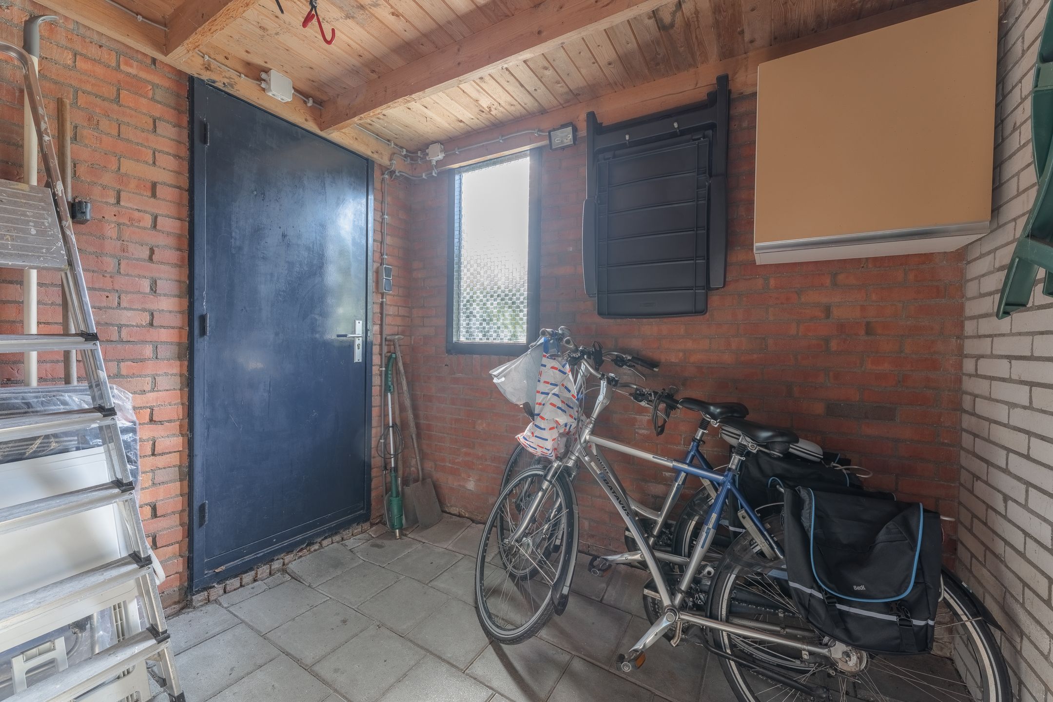 Foto 42 van Rode Paard 4