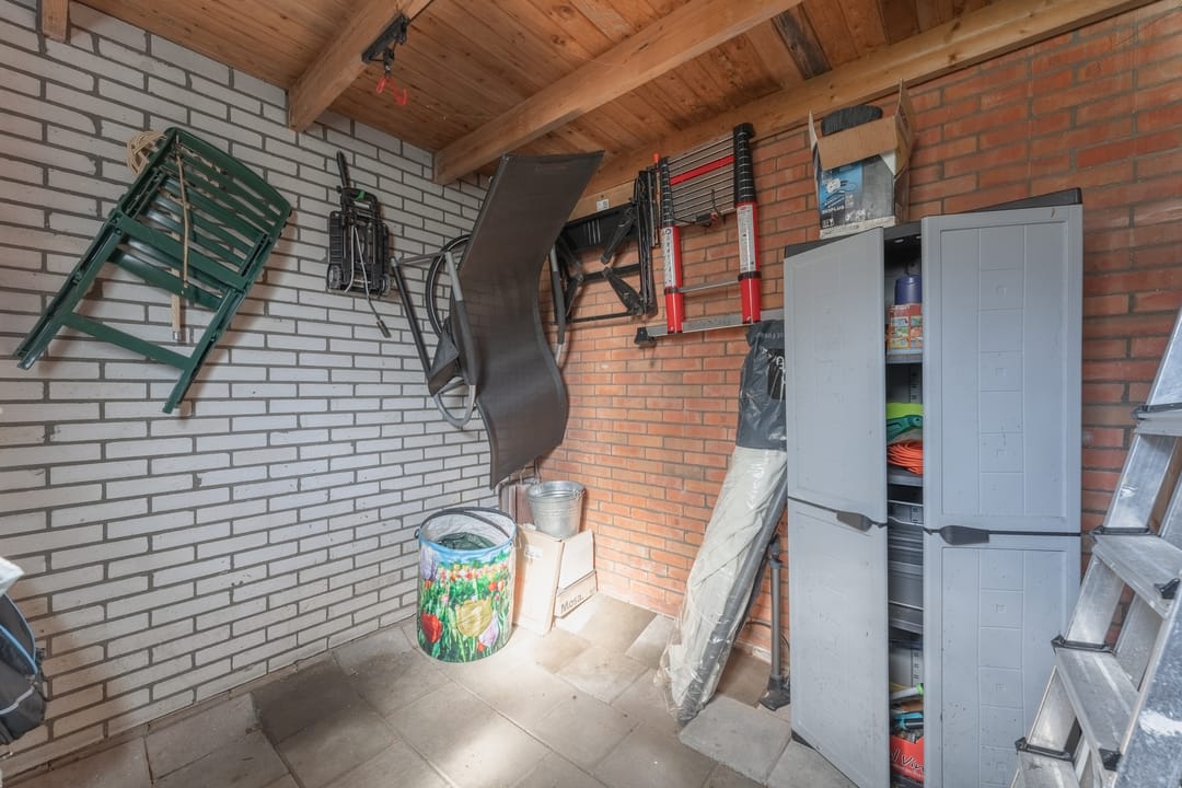 Foto 43 van Rode Paard 4