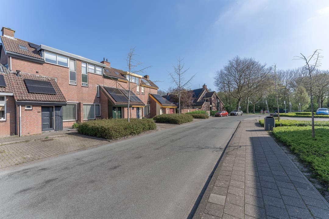 Foto 46 van Rode Paard 4