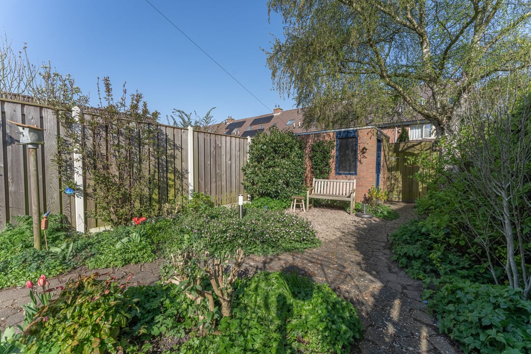 Foto 8 van Rode Paard 4