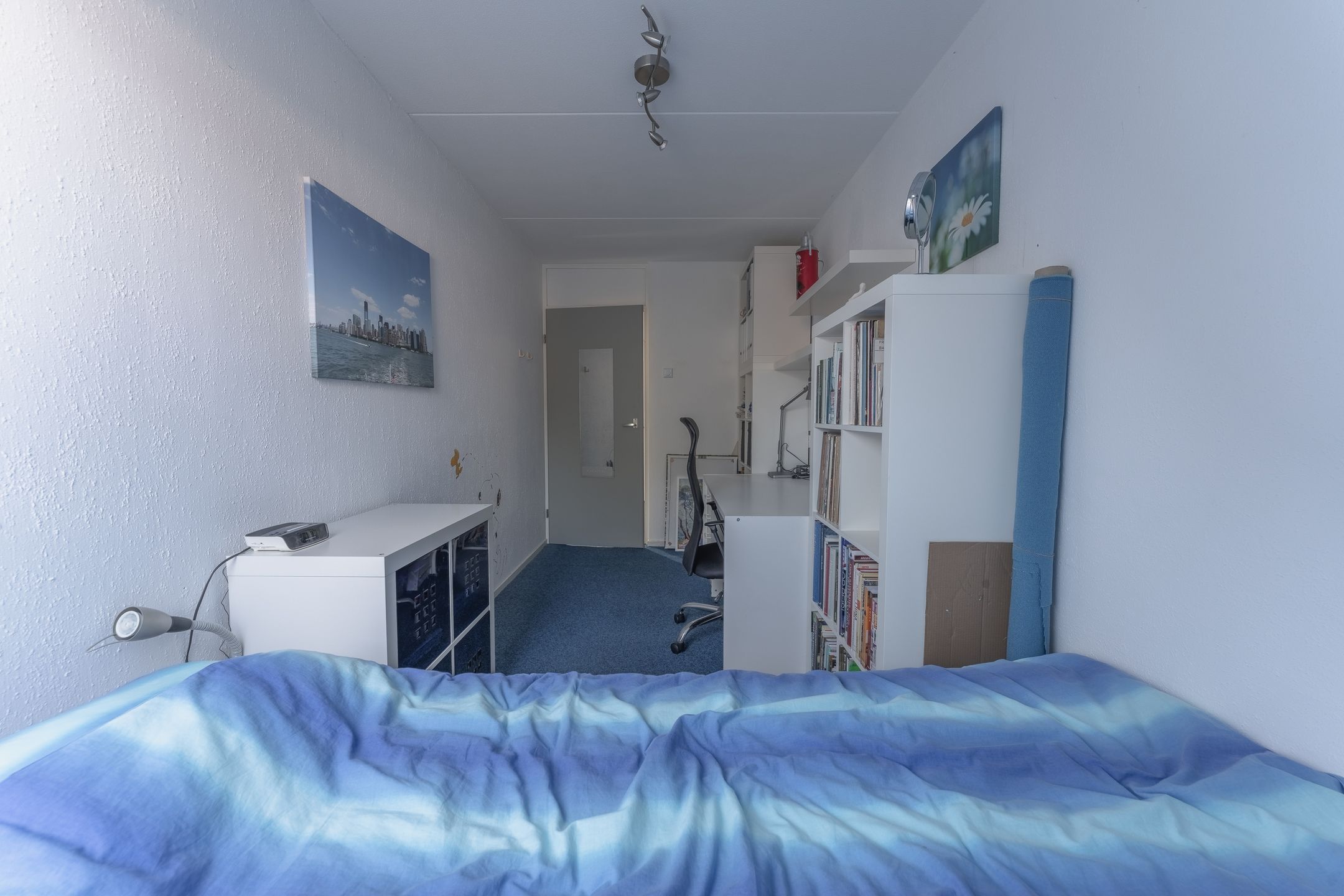 Foto 24 van Rode Paard 4