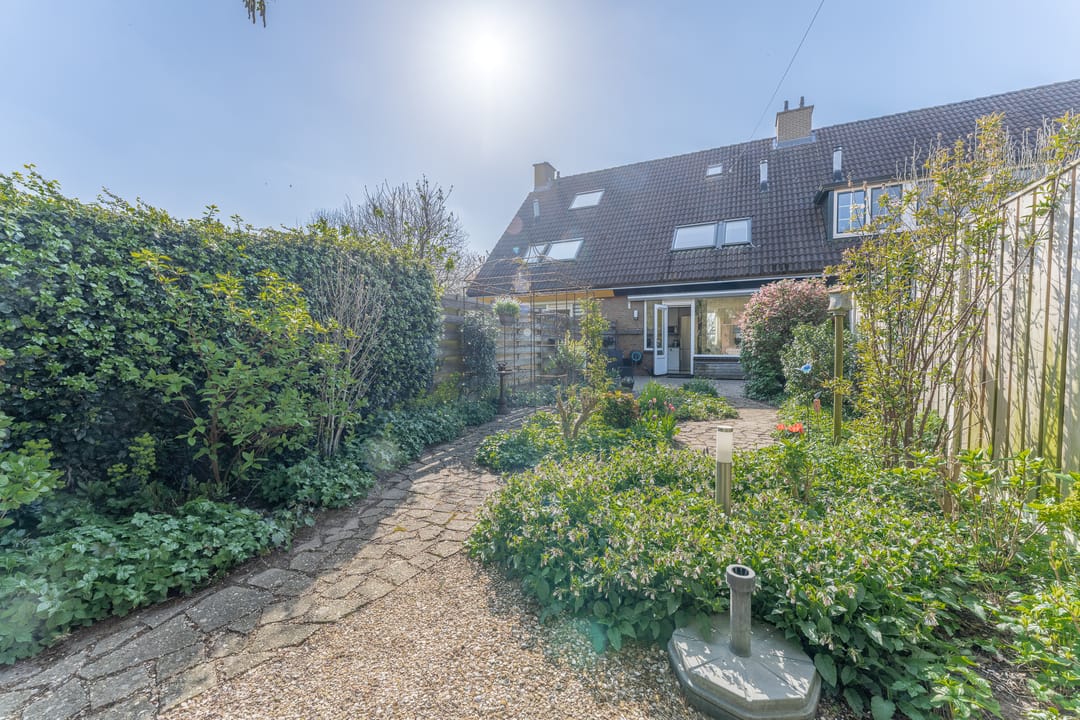 Foto 7 van Rode Paard 4