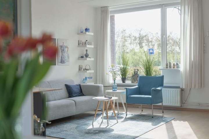 Foto 4 van Rode Paard 4