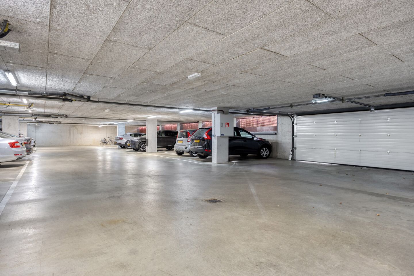 Foto 59 van Paulus Potterstraat 22