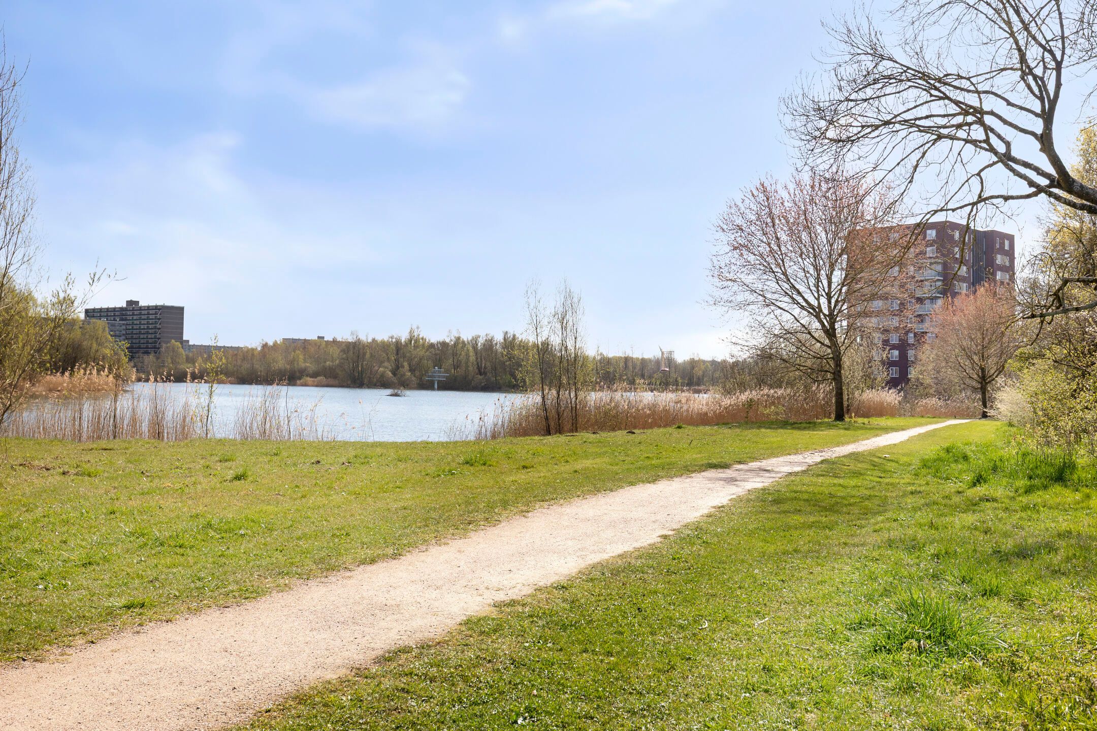 Foto 30 van Bereklauwstraat 1