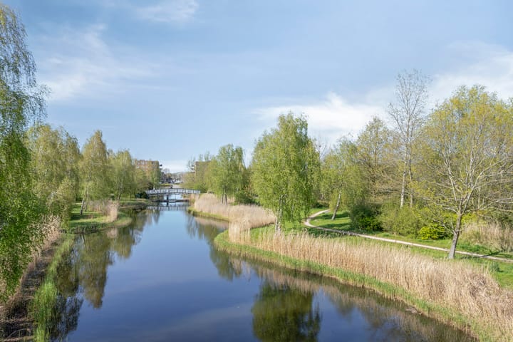 Foto 4 van Maltaweide 113