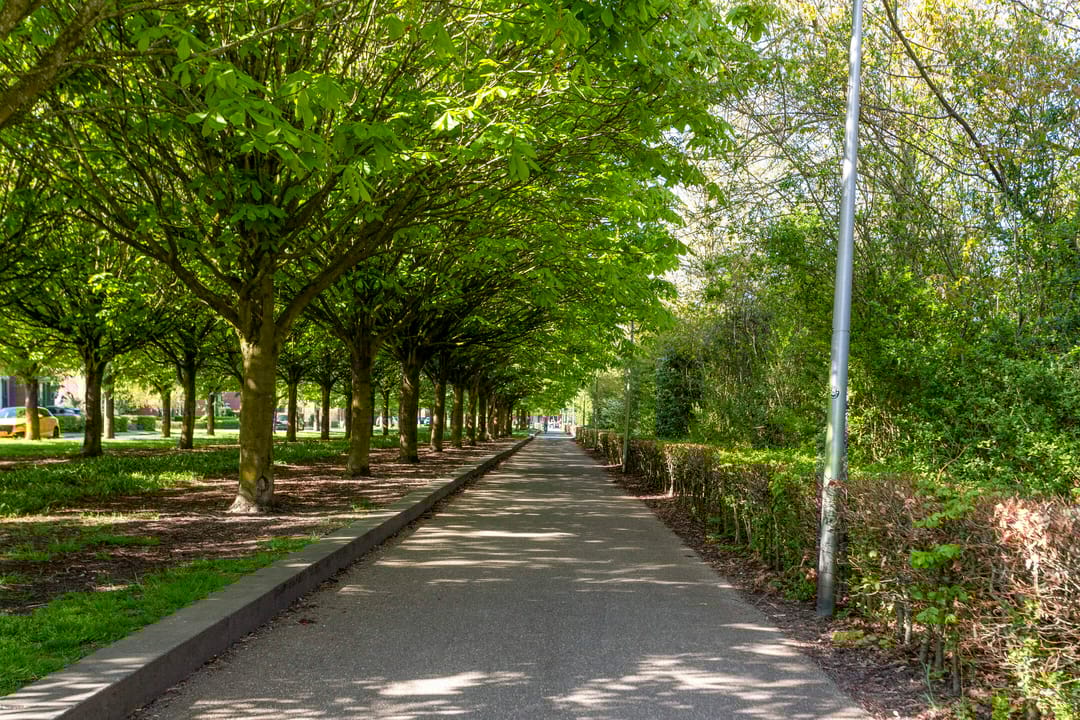 Foto 37 van Maltaweide 113